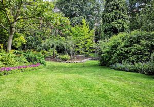 Optimiser l'expérience du jardin à Chateauneuf-le-Rouge